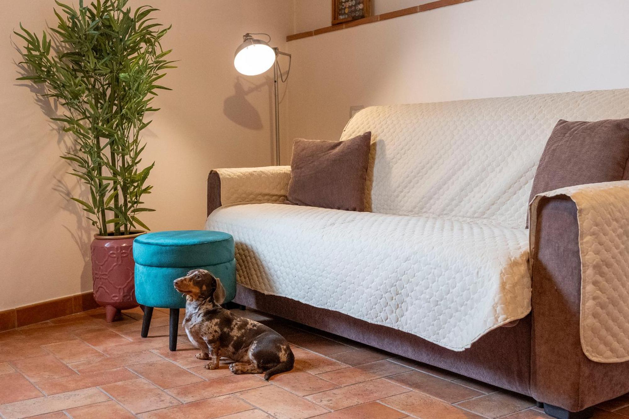 Miva Di Piu Casa Vacanza Arezzo Exterior foto